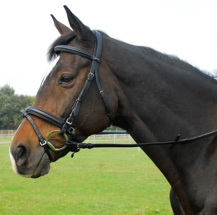 Heritage ‘Comfort’ Bridle With Flash Noseband