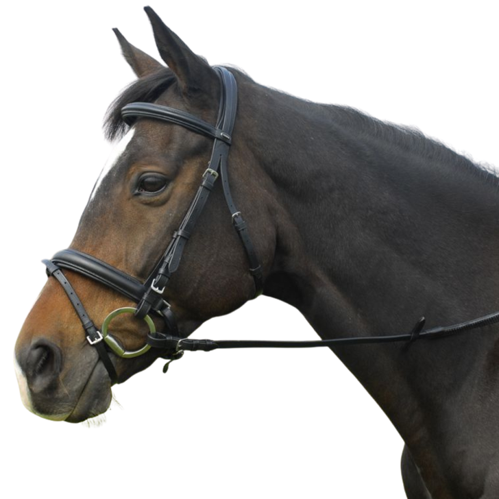 Heritage ‘Comfort’ Bridle With Flash Noseband