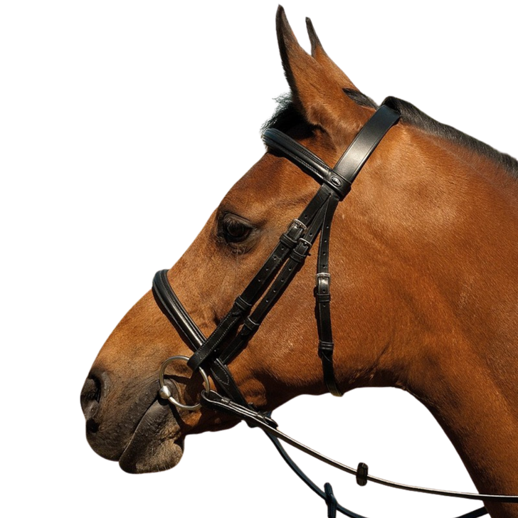 Heritage Saddlery English Leather Bridle With Raised Cavesson Noseband
