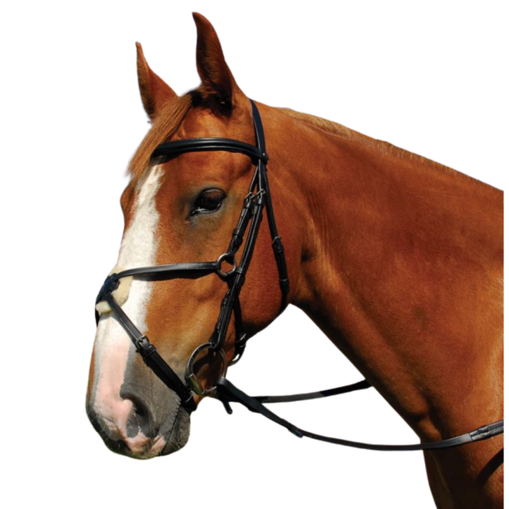 Heritage Saddlery English Leather Bridle With Mexican Noseband