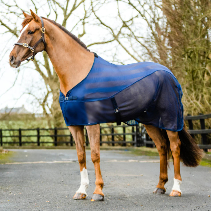 The Equi-sential Net Cooler is a lightweight and practical polyester cooler designed to provide optimal airflow and moisture-wicking properties. Its contoured top panel increases air circulation, allowing for quick drying after washing or exercise. This versatile cooler can also be used for traveling, either on its own or as an under rug.

Key Features:

Single buckle chest fastening for easy on and off
Fleece wither protection to prevent rubbing and discomfort
Adjustable cross-over belly straps for a secure fit
Fillet string to keep the cooler in place
Made from durable and breathable materials