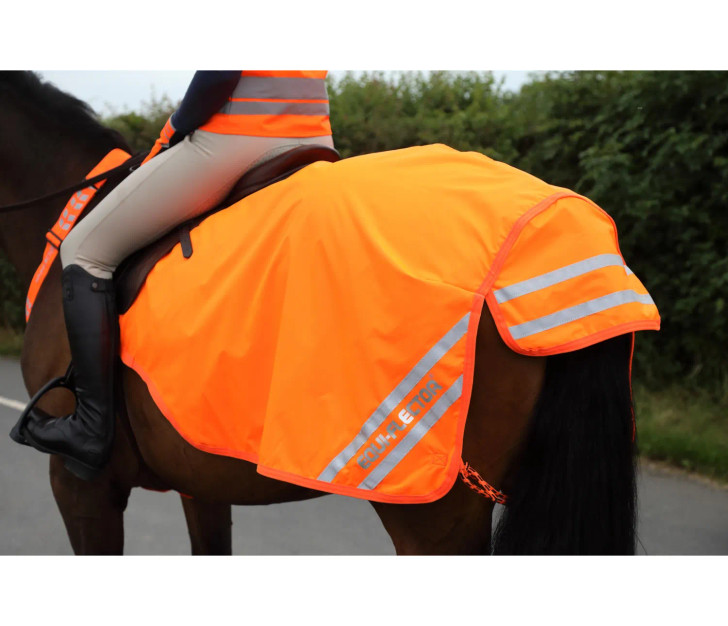 This lightweight, breathable EQUI-FLECTORÂ® exercise sheet keeps horse and rider visible in low light or when road riding. Featuring reflective strips either side at the rear and on the tail flap, the continental pattern makes the exercise sheet easy to fit around the saddle or over the riders legs, and is secured with a touch close fastening at the wither and via girth guides, retaining straps and fillet string. Part of the EQUI-FLECTORÂ® range of bright, reflective garments for horse and rider.