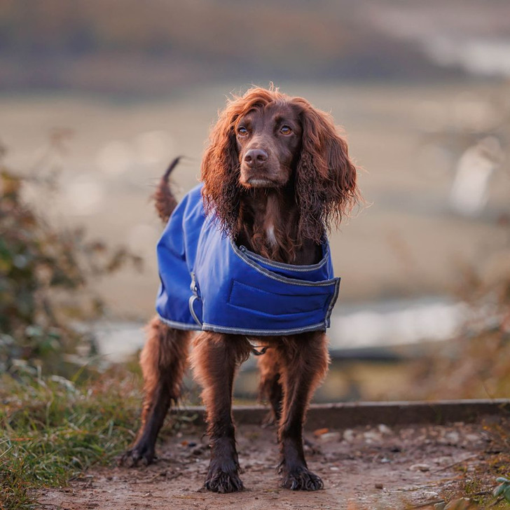 The WeatherBeeta ComFiTec Windbreaker Free Dog Coat offers the best fit for active, outdoor loving dogs. Made to protect your dog on those inclement weather days, featuring a showerproof and strong 420 denier outer shell with warm and cosy boa fleece lining. The stretch gusset and arched legs allow for maximum freedom of movement with a wrap around freedom front with adjustable touch tape closures and touch tape belly closure. The contoured back seem shapes around the tail allowing freedom for tail wagging. Features a harness hole for convenience.