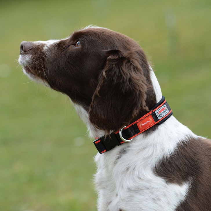 The WeatherBeeta Therapy-Tec Dog Collar is a durable nylon webbing dog collar with inner padding that is infused with ceramic fabric technology for complete comfort, recovery and relaxation. Ski clip closure for easy on/off. XS & S sizes are not adjustable. M ═ XXL are adjustable.