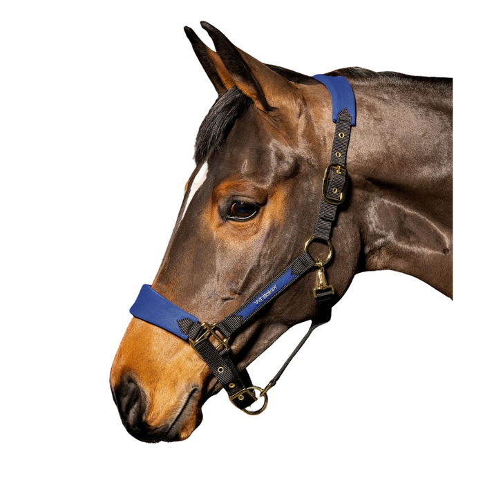 Whitaker Harewood Crest Headcollar