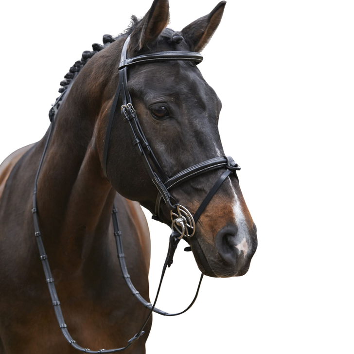 Whitaker Eastwood Raised Flash Bridle