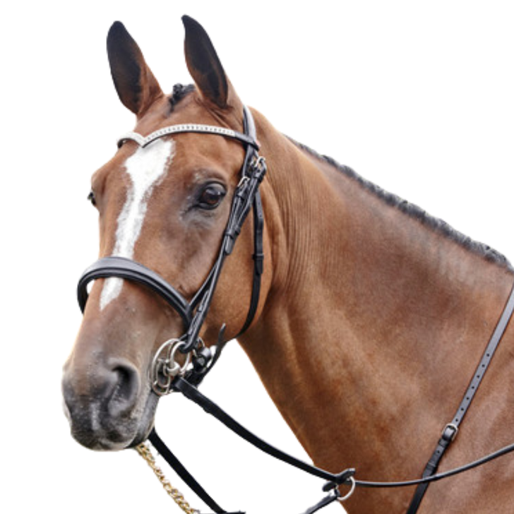 Whitaker Lynton Snaffle Bridle with 2 browbands
