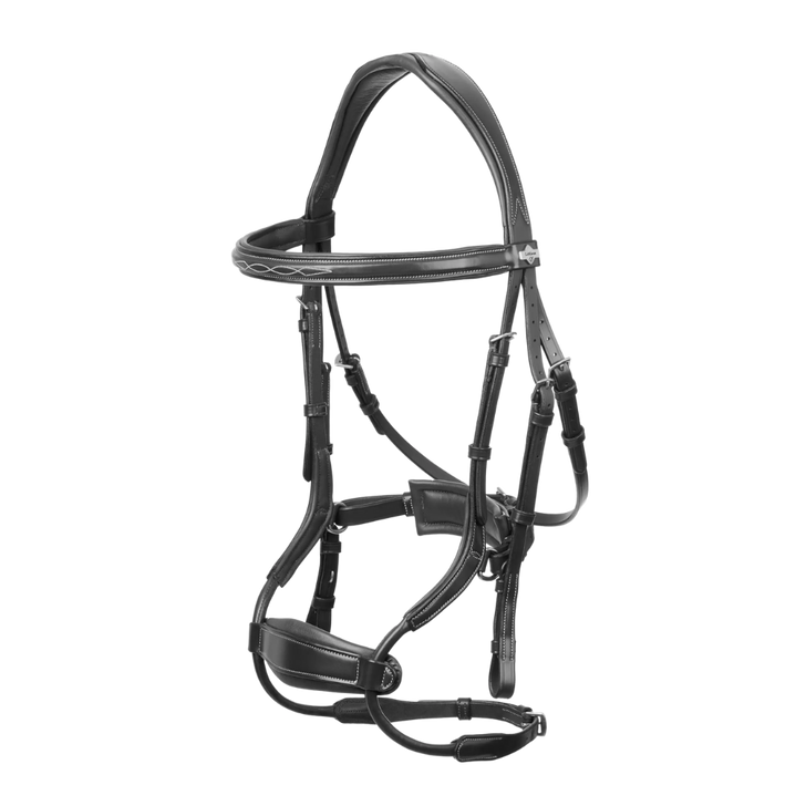 LeMieux Kudos Clear Arc Bridle