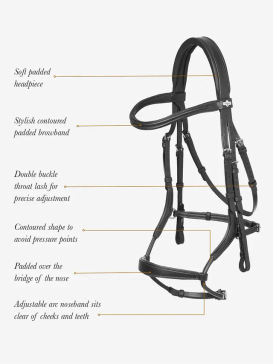 Luxurious oiled leather bridle expertly designed to offset pressure on the sensitive areas of your horse's face.

The soft padded headpiece is anatomically shaped for clearance behind the ears. The distinctive arc noseband sits clear of the horse's cheeks and teeth to avoid pressure on these sensitive areas, with padding over the bridge of the nose for comfort. Double buckles on the noseband and throat lash allow precise and even adjustment.

Framing the face, the padded browband has a stylish contoured shape.

LeMieux leather care advice is in the 'Info & Care' section and included with each bridle. We recommend the LeMieux Luggage Collection for travel and storage.