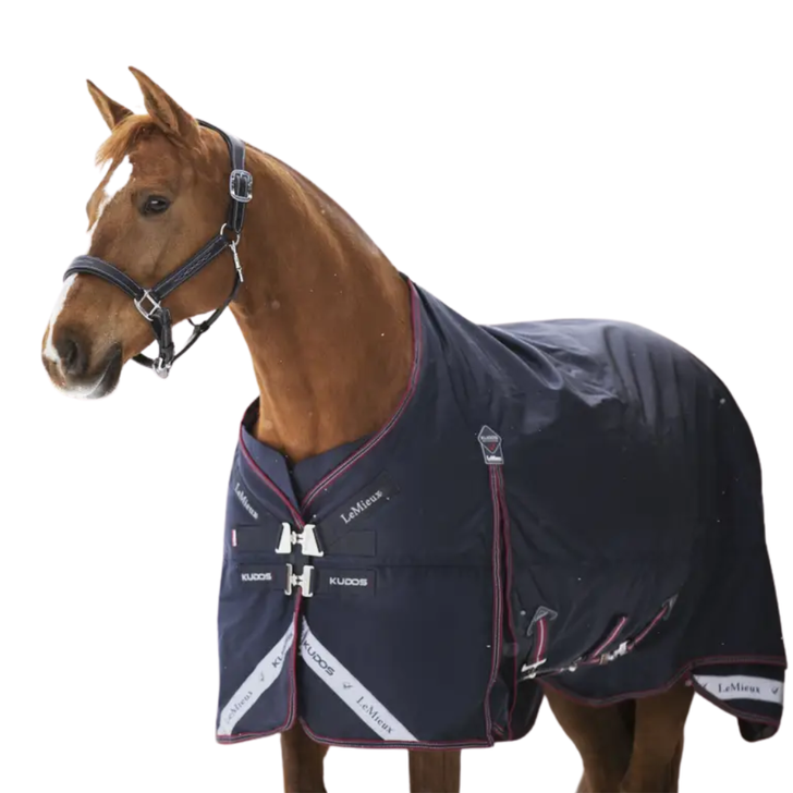 LeMieux Kudos Turnout Rug 350g