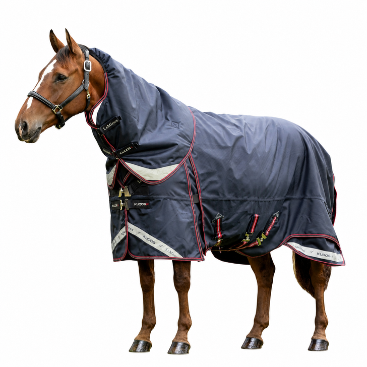 LeMieux Kudos Thermo Layer Turnout Rug 300g