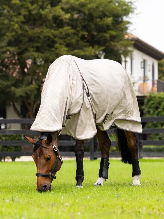 LeMieux Kudos Field Rug