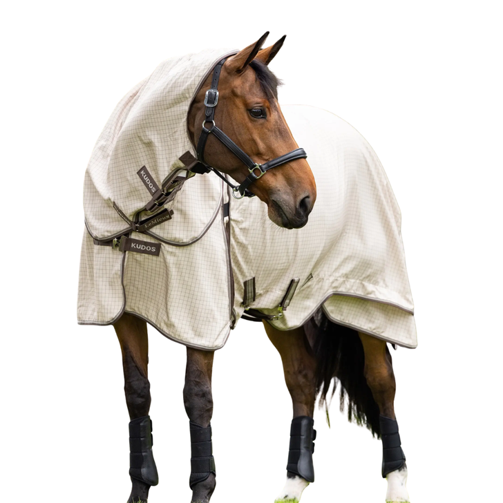 LeMieux Kudos Field Rug