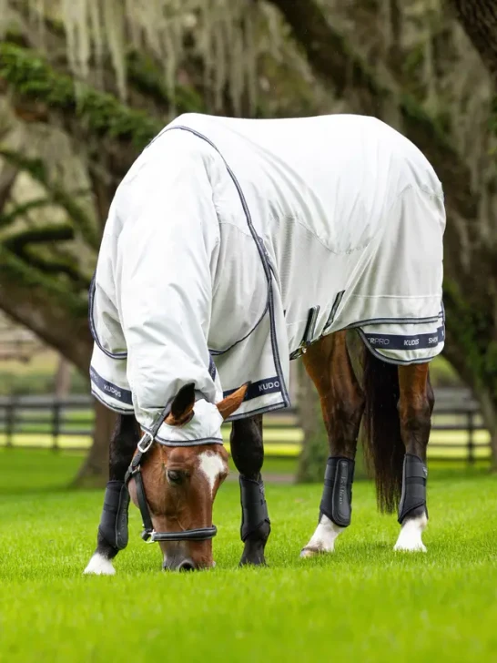 LeMieux Kudos Shower Pro Waterproof Fly Rug