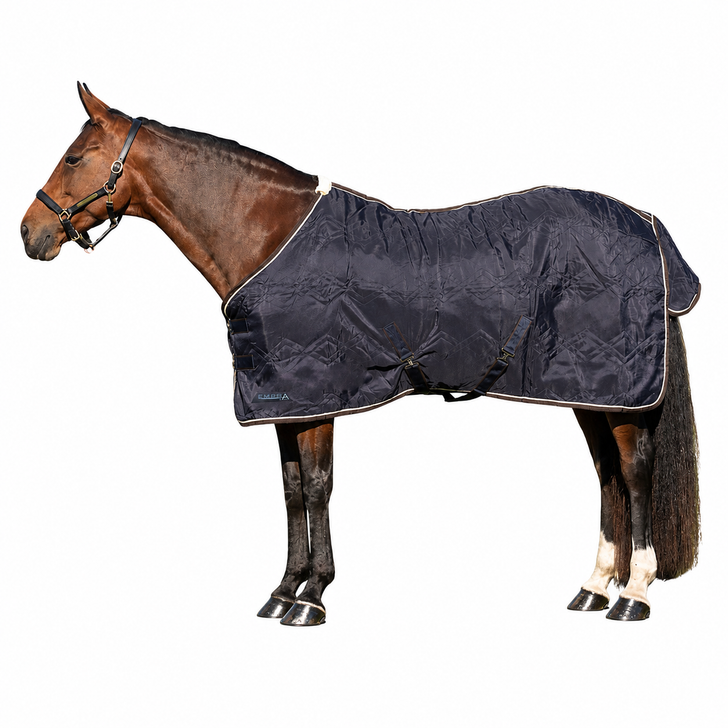 StormX Original Luxury Show Rug