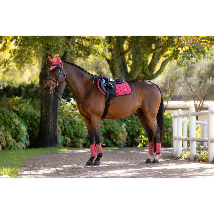LeMieux Loire Classic Close Contact Square Cranberry