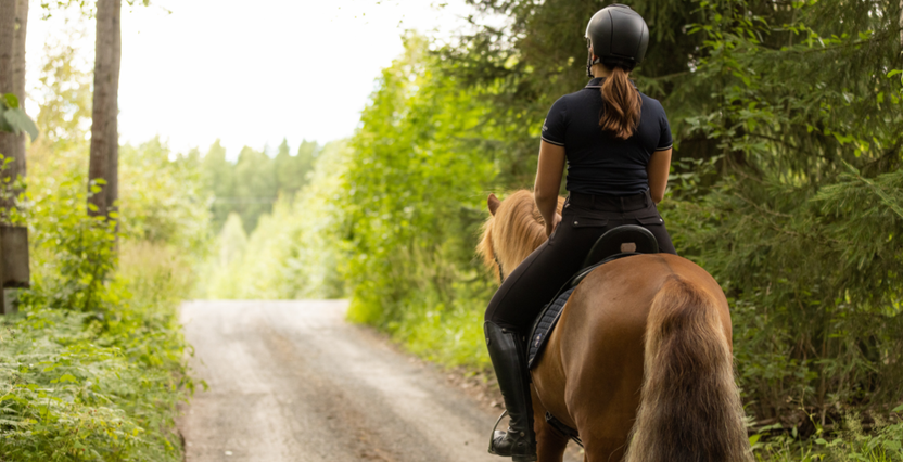 Our favourite equestrian hacking gear
