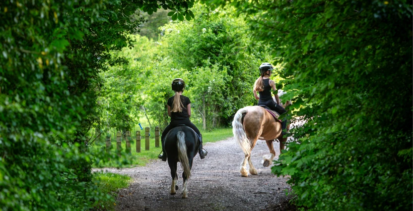 Trail-Tough & Ready: Your Long-Hack Prep Guide