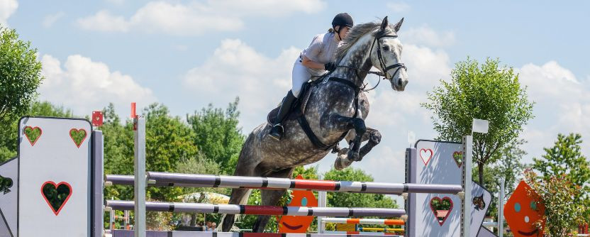Get Ready for Show Season Get Ready for Show Season