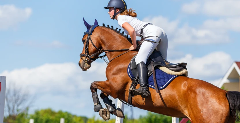 Bringing Back the Shine: Getting Your Horse Competition-Ready 