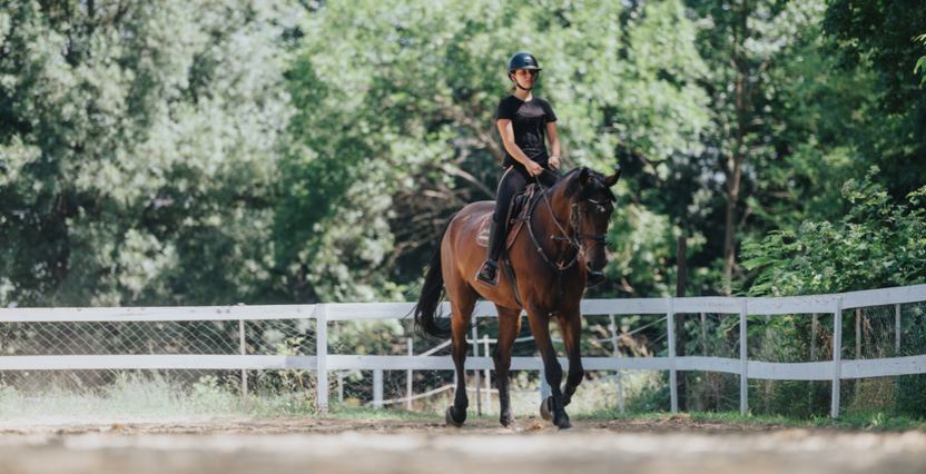 The Best Summer Horse Riding Clothes 