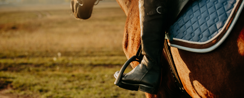 Our Five Favourite Riding Season Essentials 