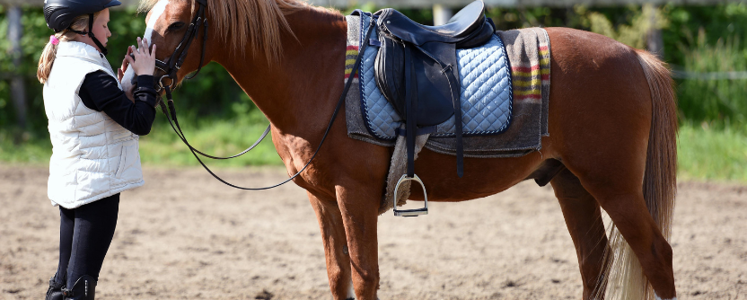 Our 3 favourite long riding boots for shorter riders 