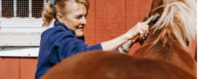 ​Essential horse care for the dark and cold months