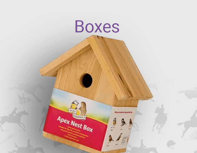 Bird Boxes