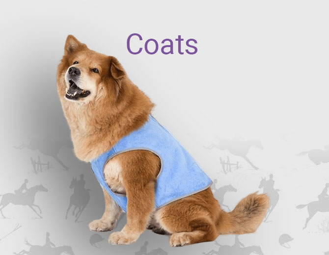 Dog Coats