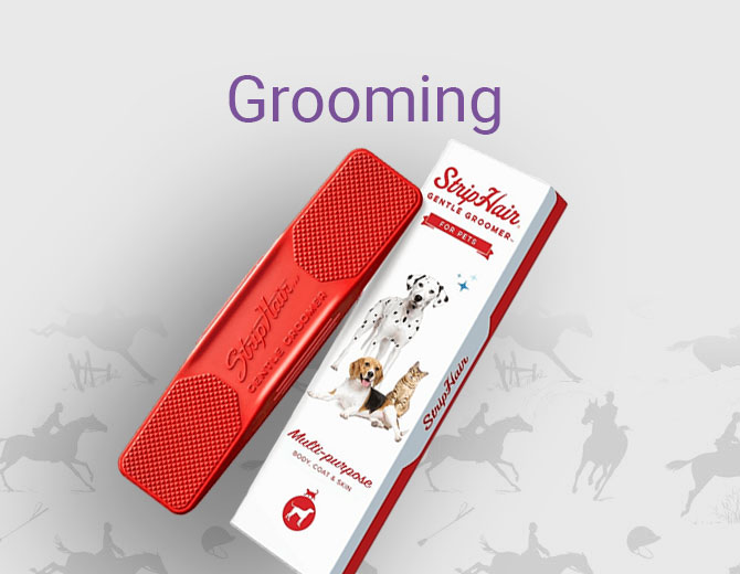 Dog Grooming