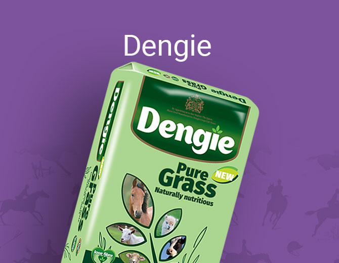 Dengie