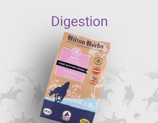 Digestion