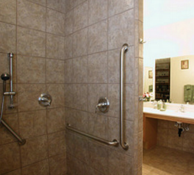 bathroom safety grab bars in shower