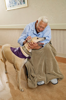 elderly man with support dog