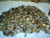 Grab Bag 1 LB of Foreign Coins