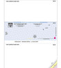 High Security Imprinted Business Check in Middle