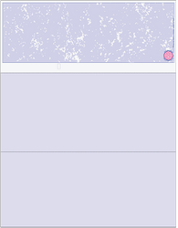 Blank Business Checks