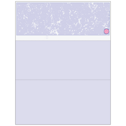 Blank Business Checks