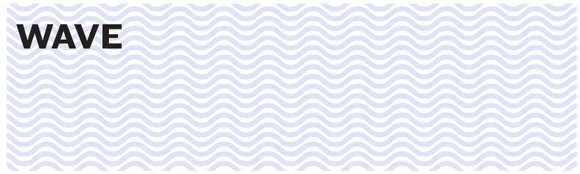 Wave Blank Business Checks