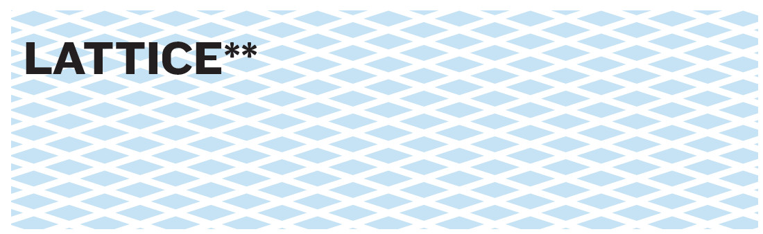 Lattice Blank Business Checks