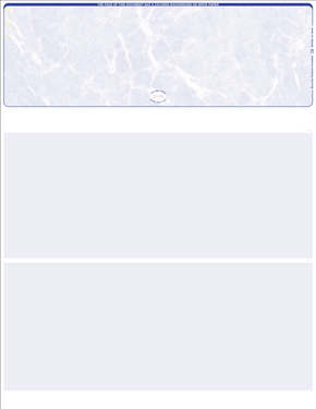 Blank Business Checks