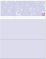 Blank Business Checks
