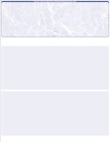 Blank Business Checks