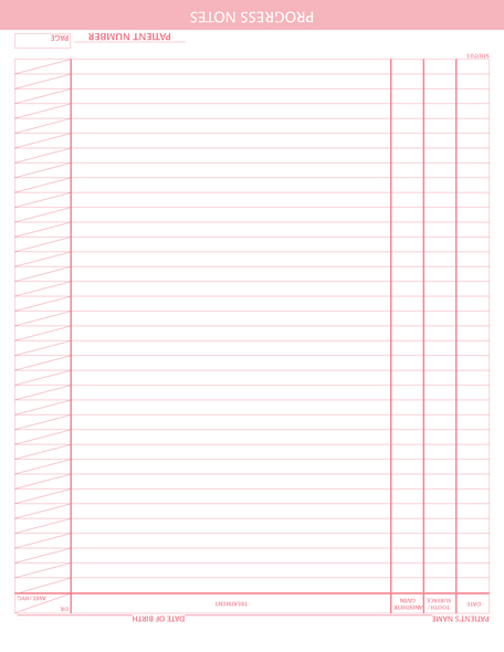 Progress Note Charting form PMS 198 red 8-1/2" 11" 2-hole punched top and bottom (100/PK) Page 2