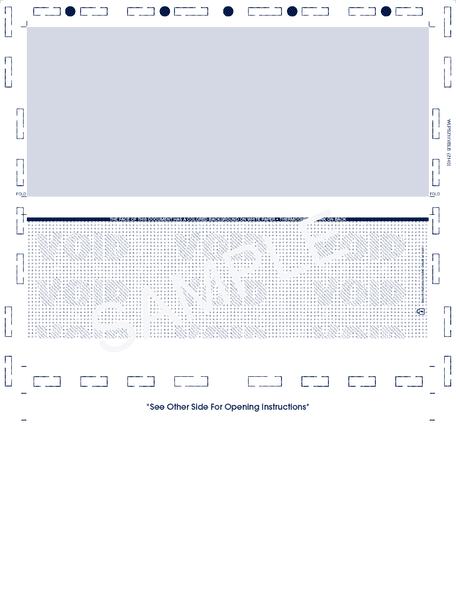Basic Check, Void Pantograph, Blue 281 28# MOCR, 8-1/2" x 11" Z-fold - 500 Qty Basic Check, Void Pantograph, Blue 281 28# MOCR, 8-1/2" x 11" Z-fold - 500 Qty