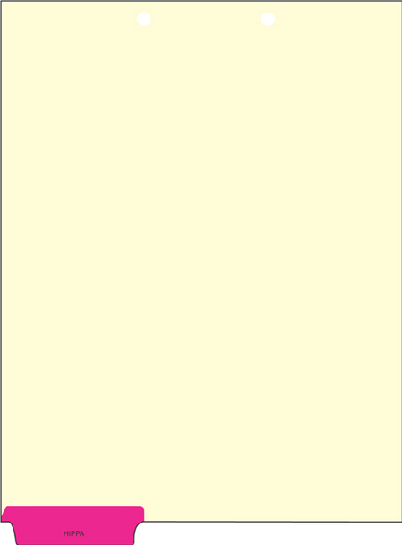 Index (bottom tab) - 100/Pkg