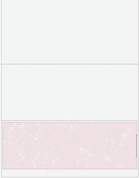 Blank Business Checks On Bottom - Better Security