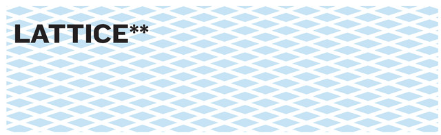 Lattice Blank Business Checks