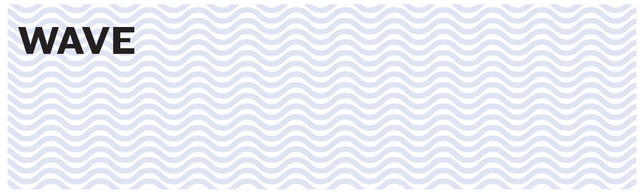 Wave Blank Business Checks